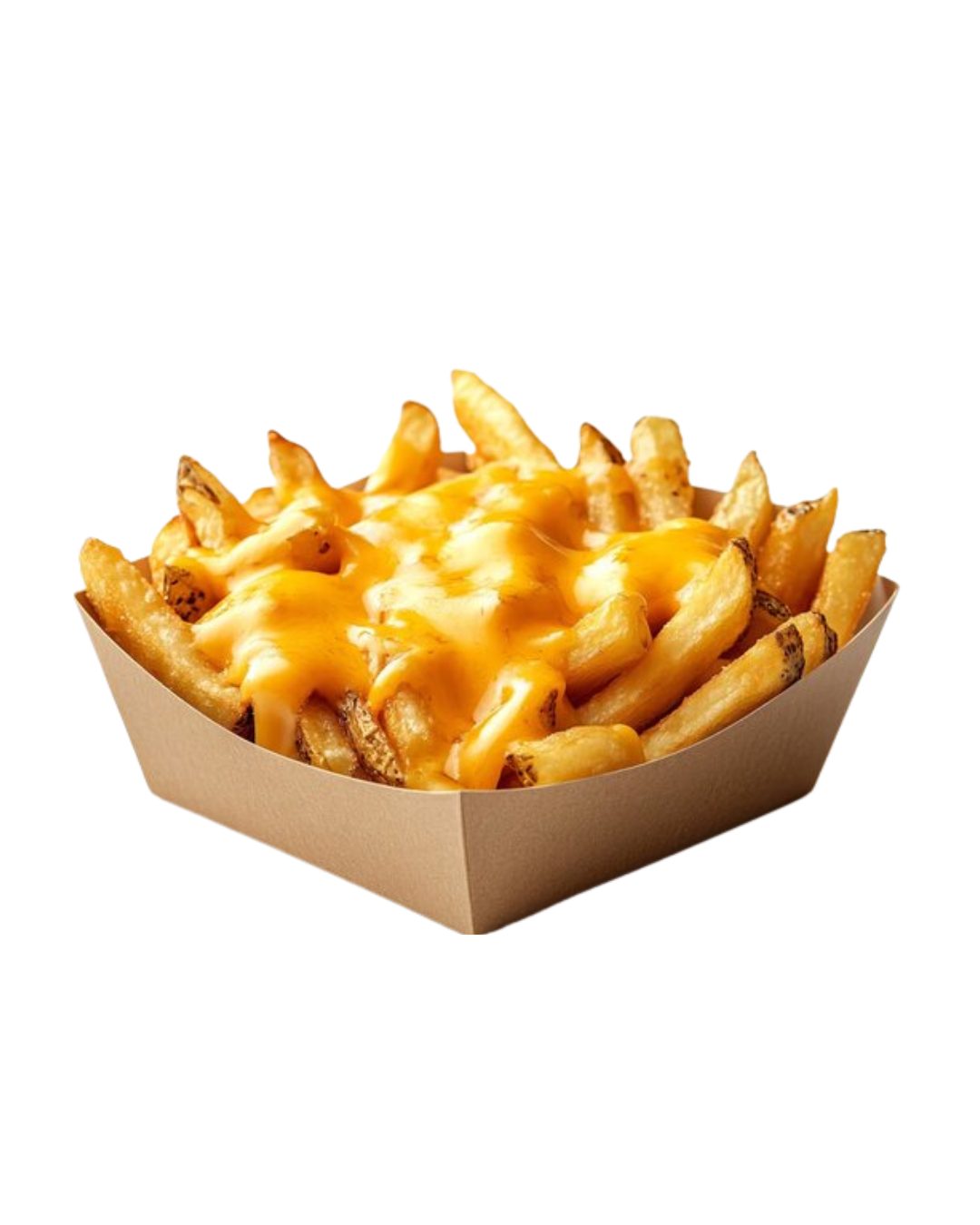 Cheesy Fries ( Large).